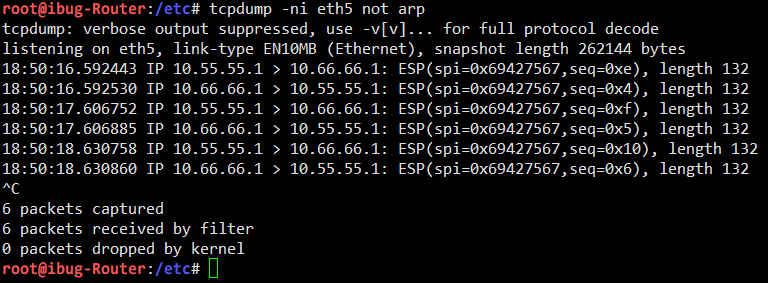 tcpdump showing ESP packets